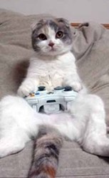 ¿Jugando desde su sofá?